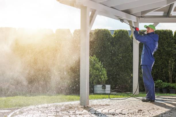 Best Gutter Cleaning  in Marshfield, MO